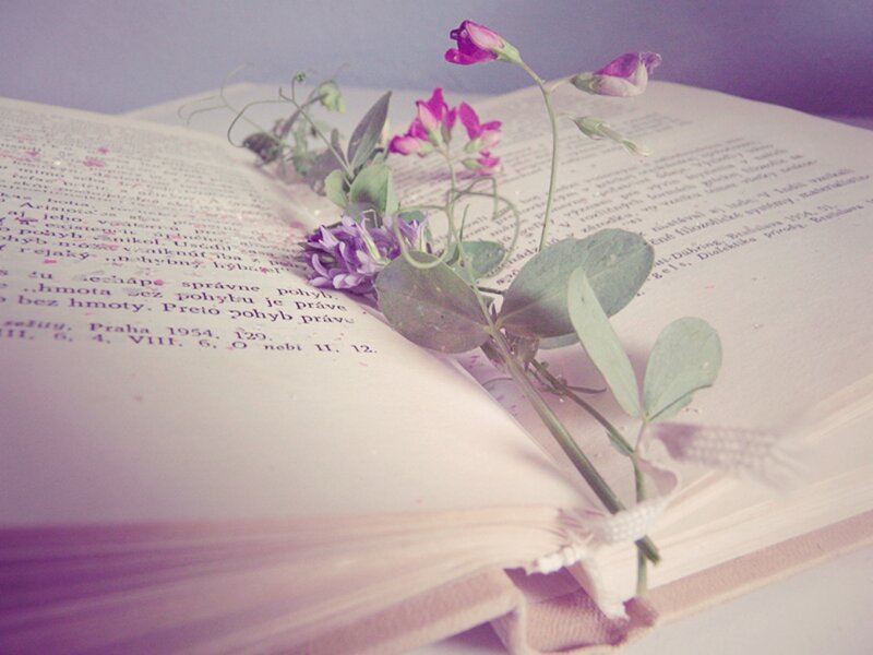 Book with Flowers — Purple