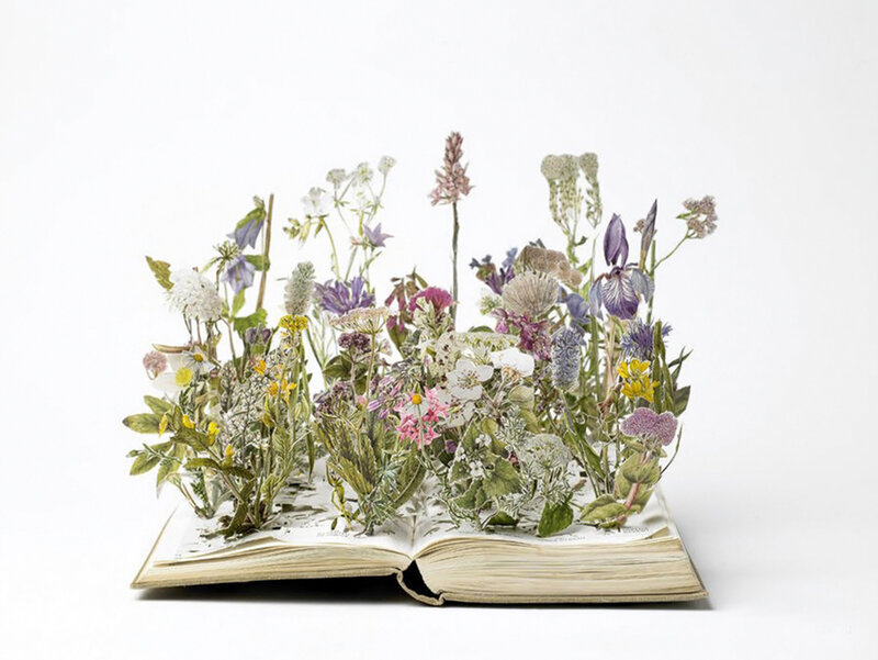 Book with Flowers — White, Serene, Photograph