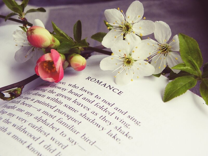Book with Flowers — White, Serene
