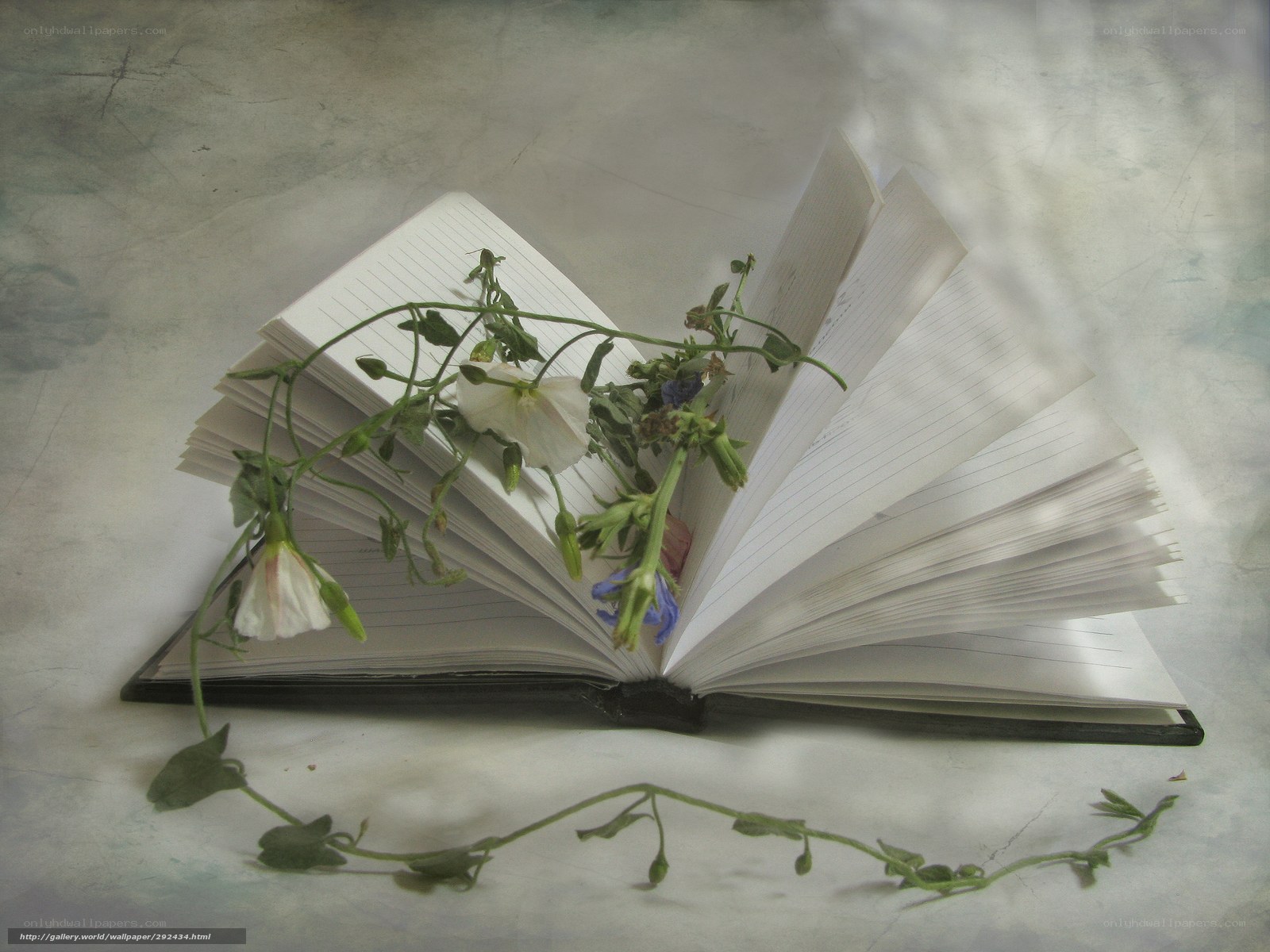 book with flowers