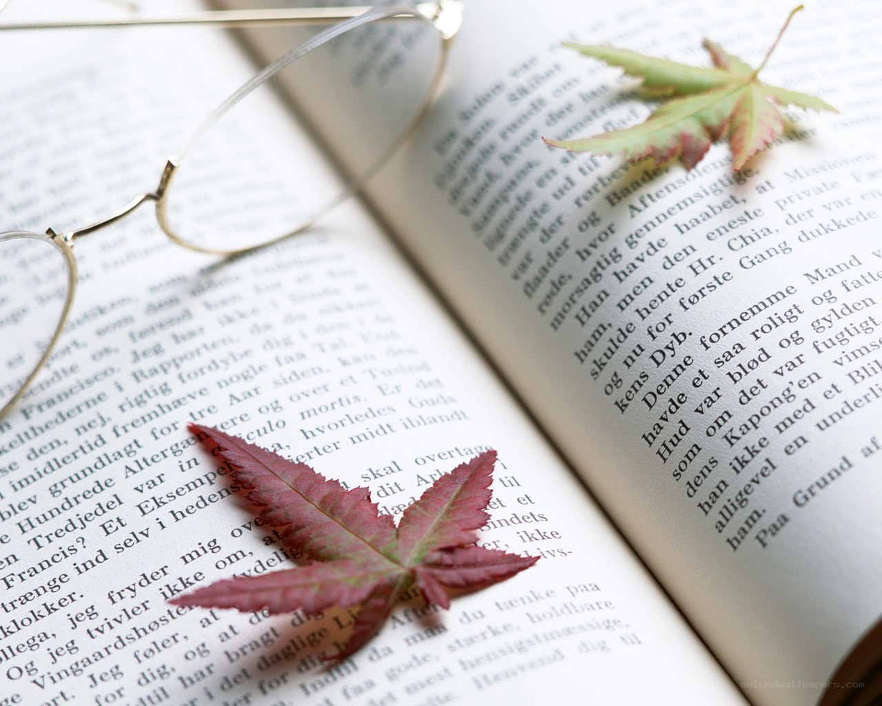 Book with glasses and leaves