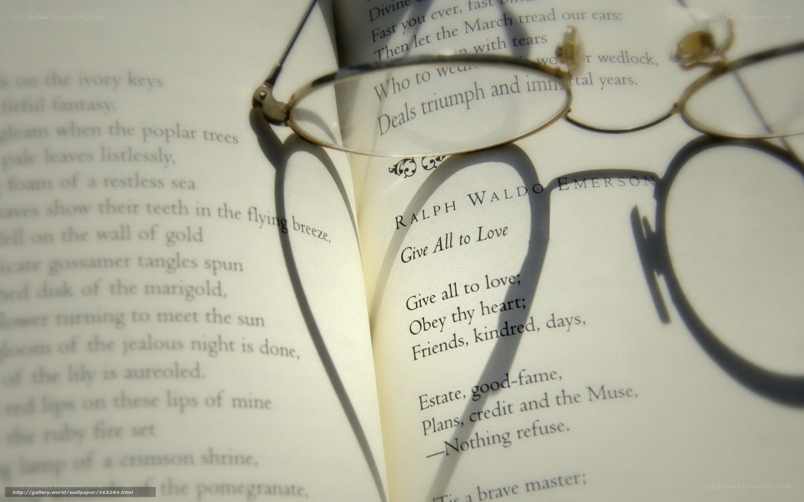 Book with glasses shadow