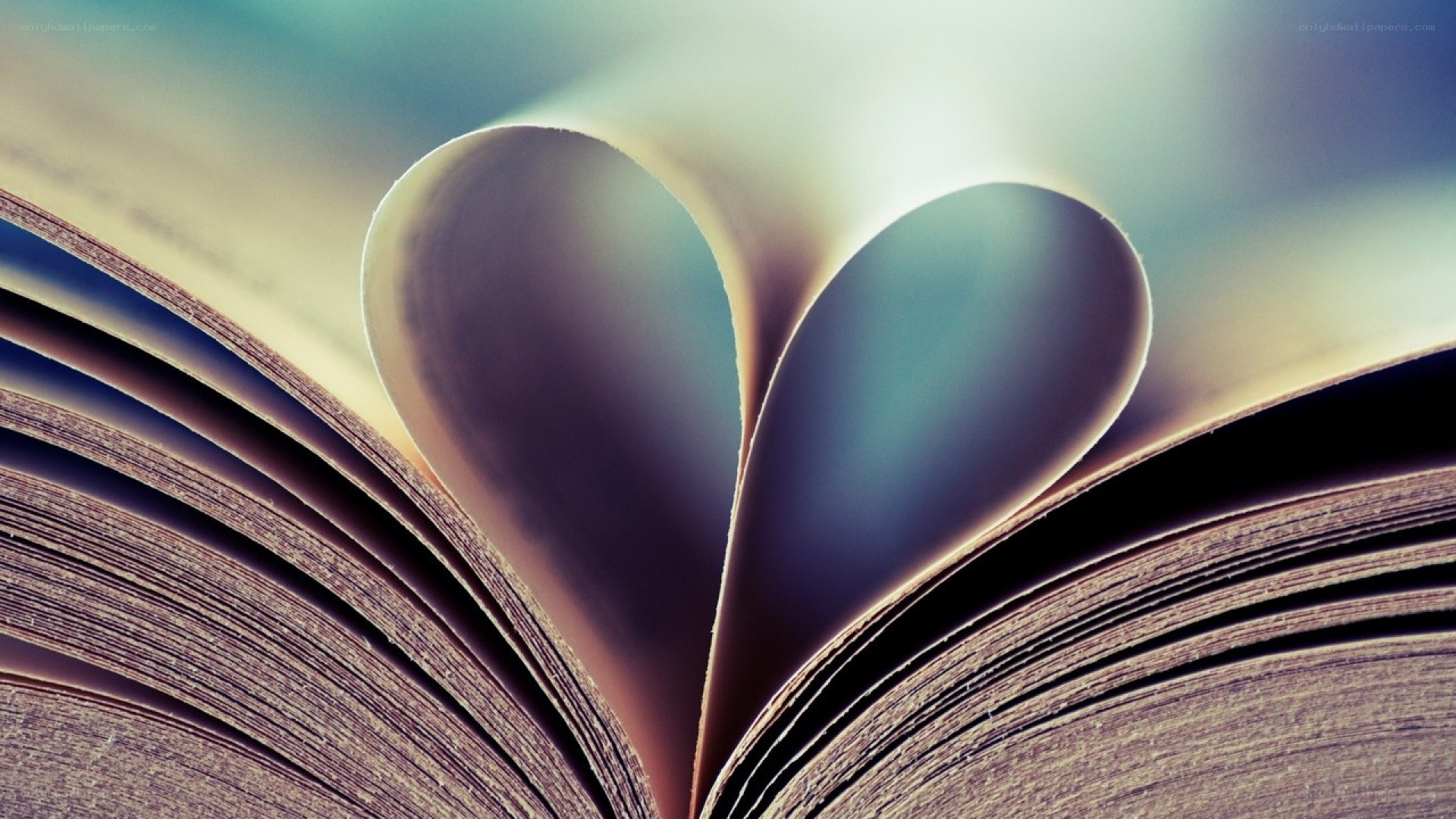 book with heart-shaped pages