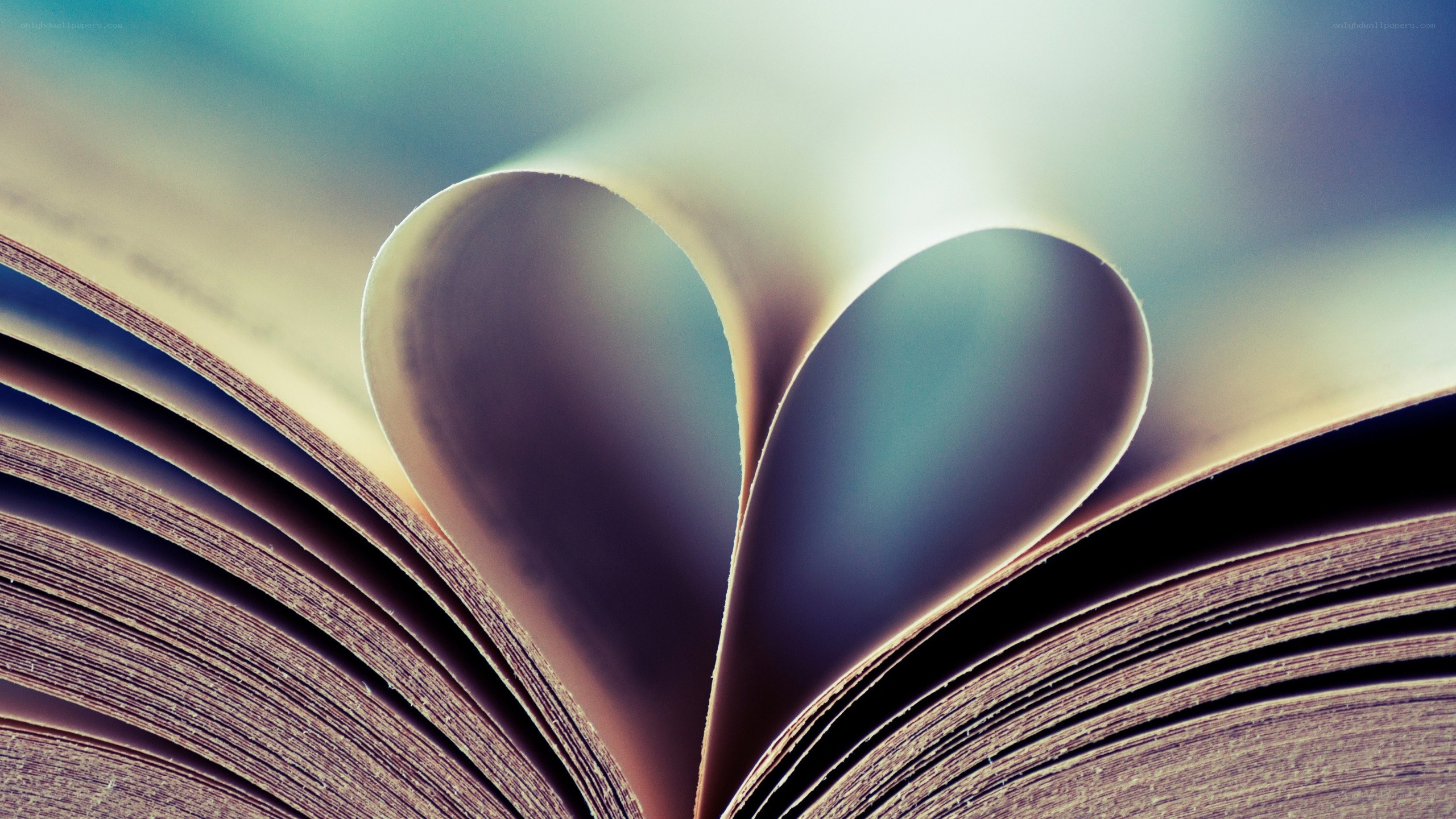 book with heart-shaped pages
