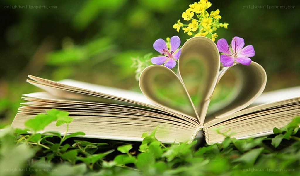 book with heart-shaped pages