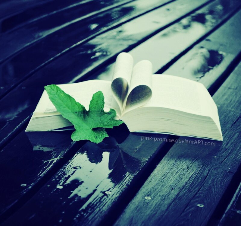 Book with Heart-shaped Pages — Blue, Serene