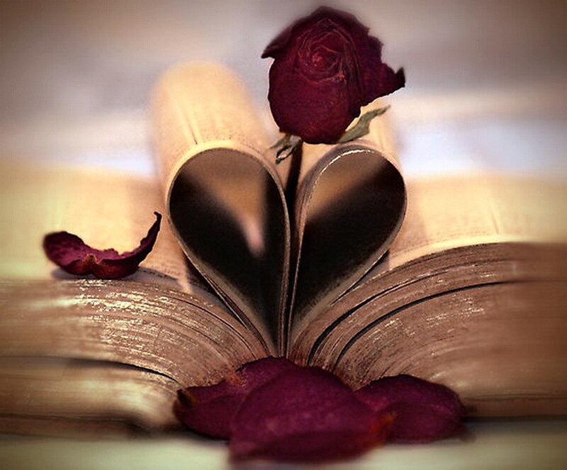 Book with Heart-shaped Pages — Brown