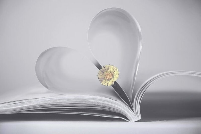 Book with Heart-shaped Pages — Gray