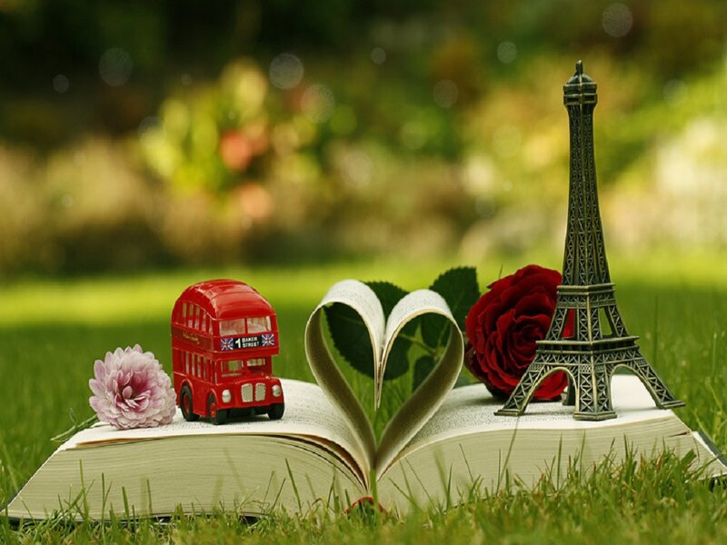 Book with Heart-shaped Pages — Green, Serene, Afternoon, Photograph