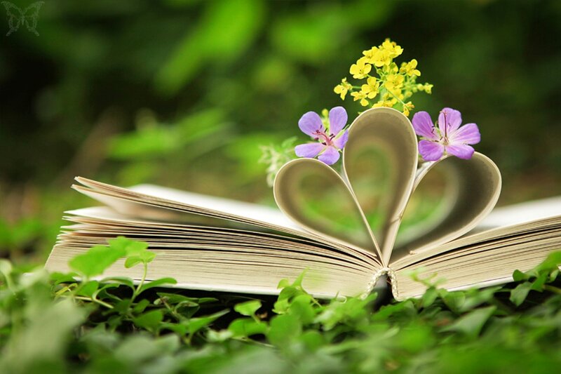 Book with Heart-shaped Pages — Green, Serene, Spring