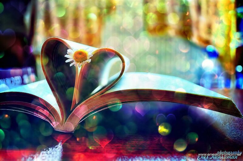 Book with Heart-shaped Pages — Green, Serene