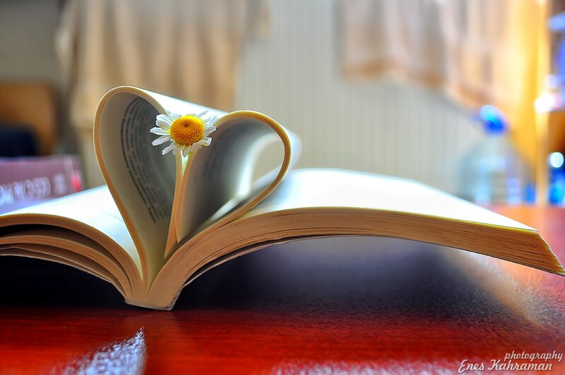 Book with Heart-shaped Pages — Red, Serene