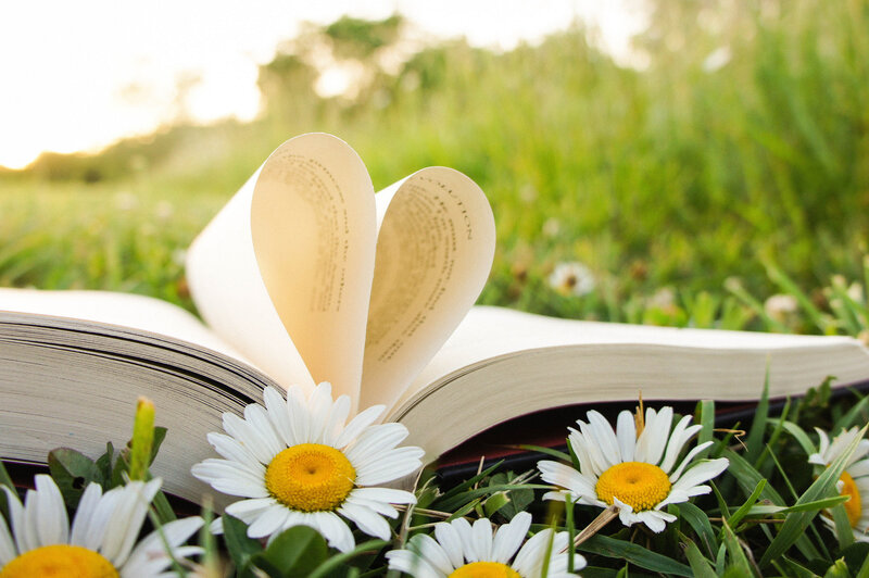 Book with Heart-shaped Pages — White, Serene, Afternoon