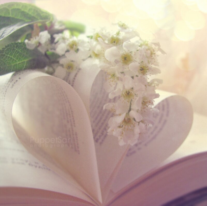 Book with Heart-shaped Pages — White, Serene, Spring
