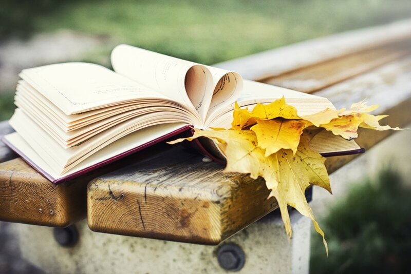 Book with Heart-shaped Pages — Yellow, Serene