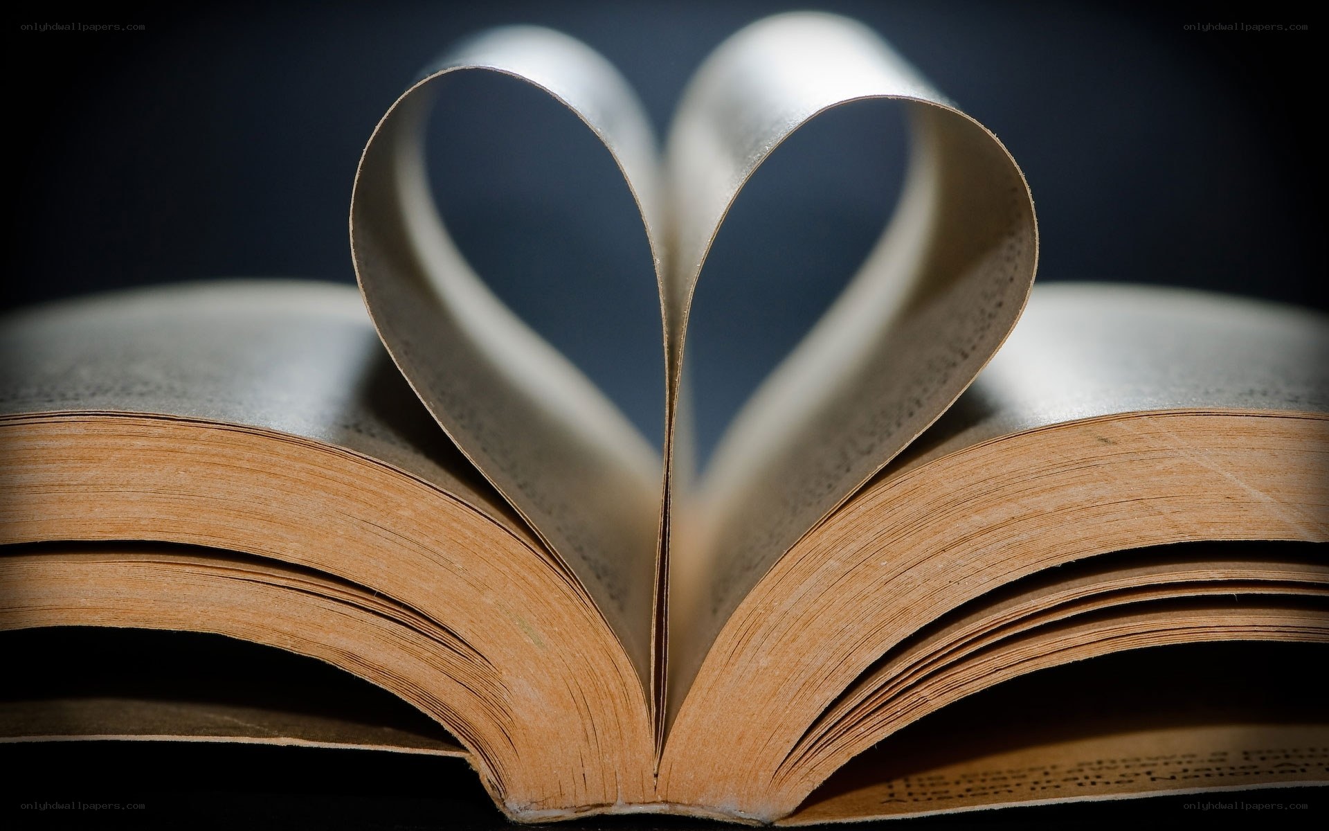book with heart-shaped pages