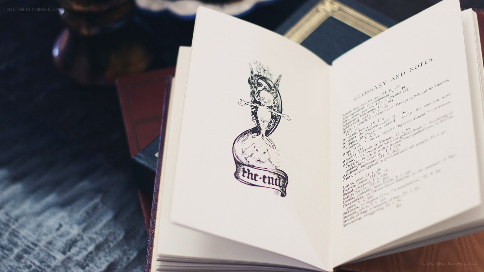 book with illustration and glossary