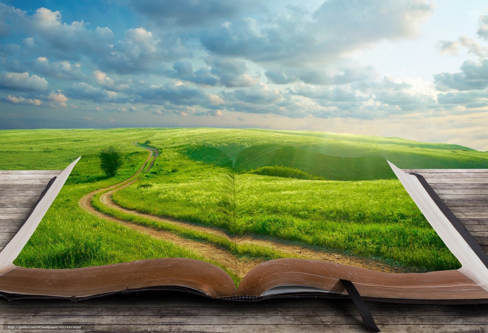 Book with landscape scene