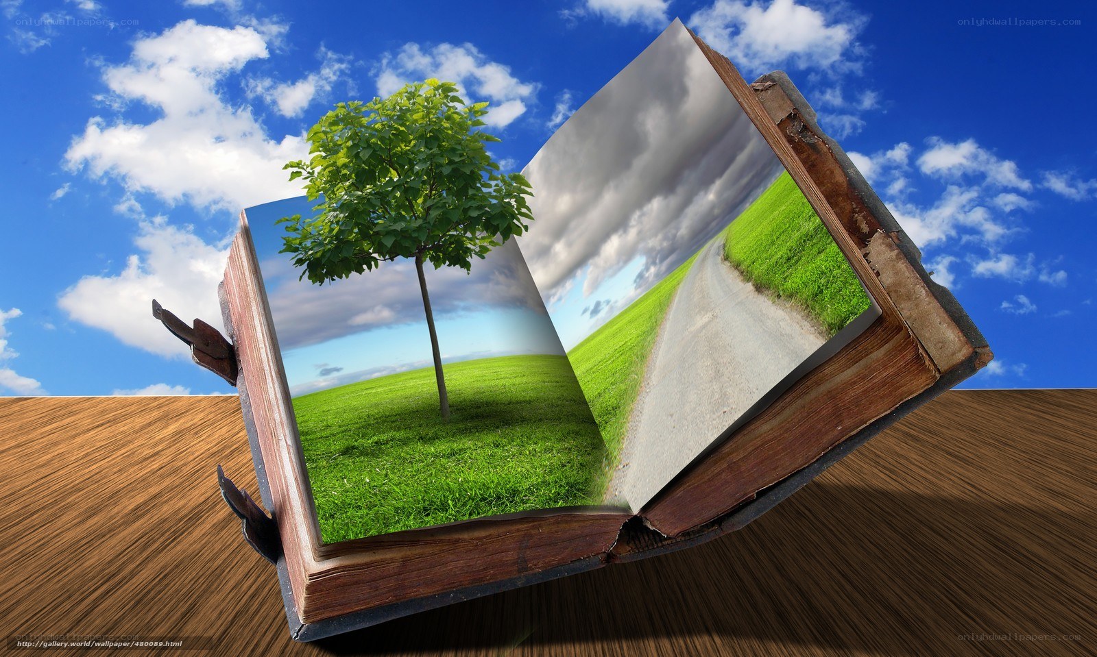 book with nature scene