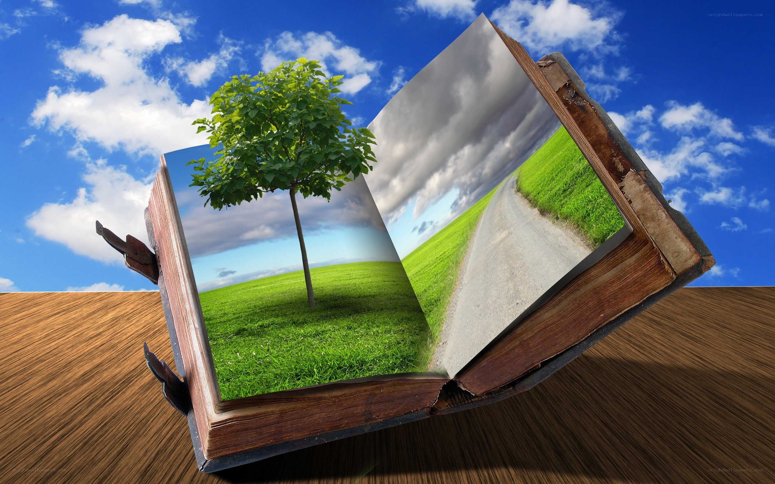 book with nature scene