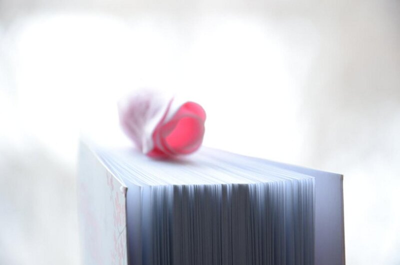 Book with Paper Rose