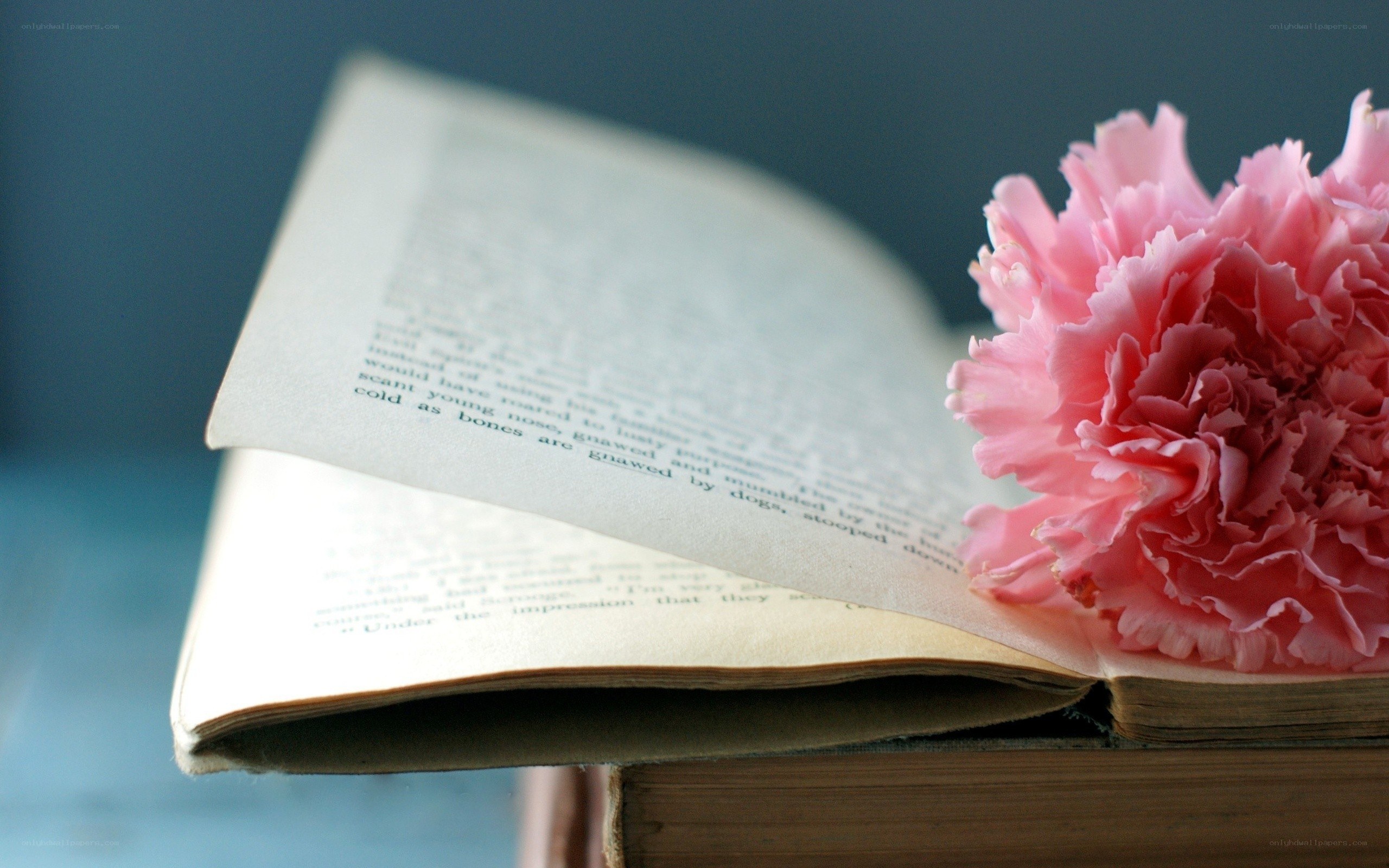 book with pink flower