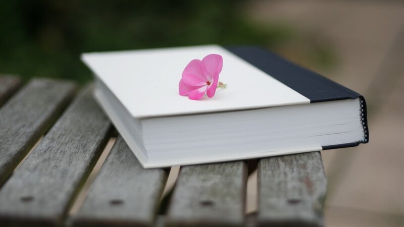 Book with Pink Flower — White, Serene