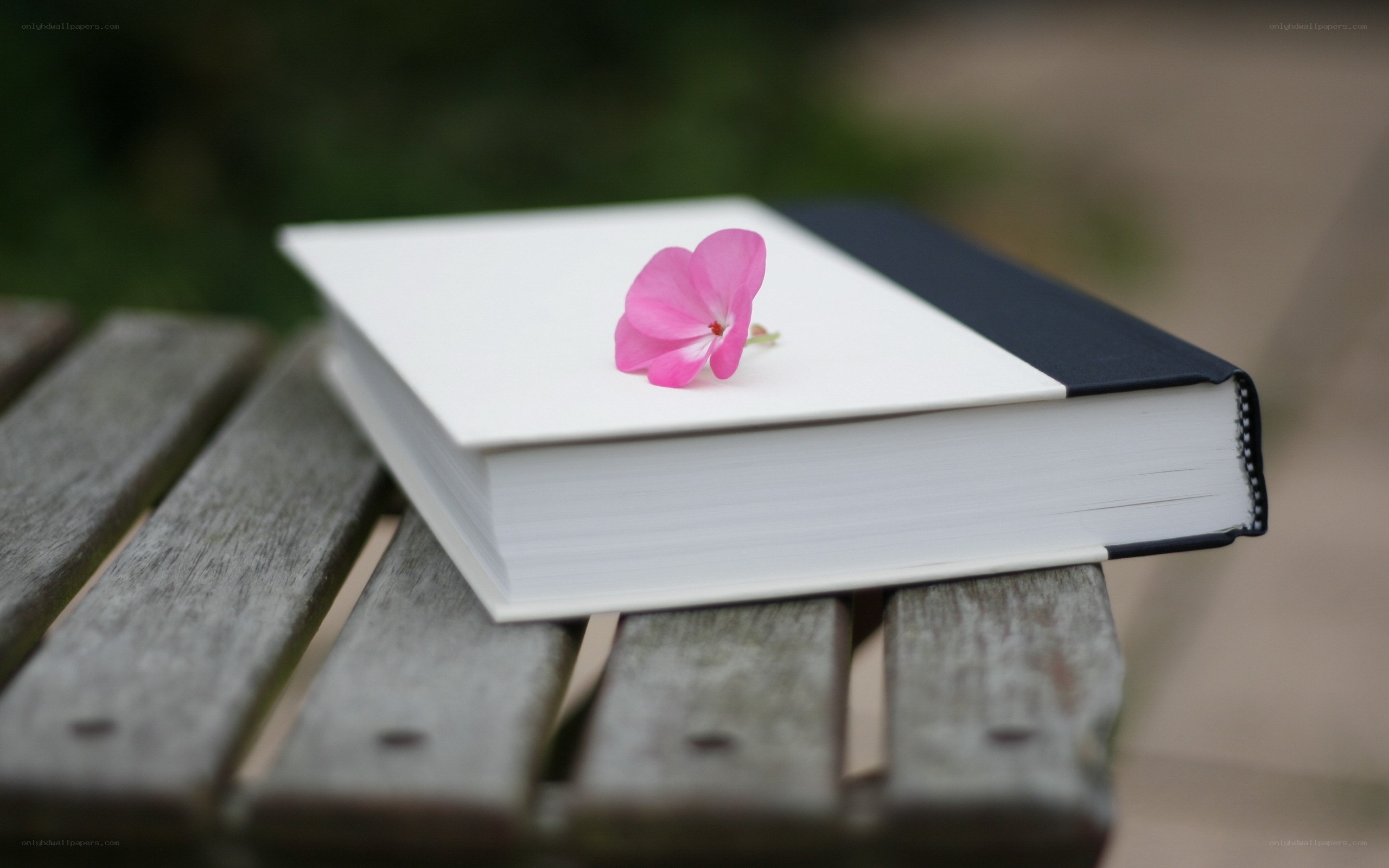 Book with pink flower