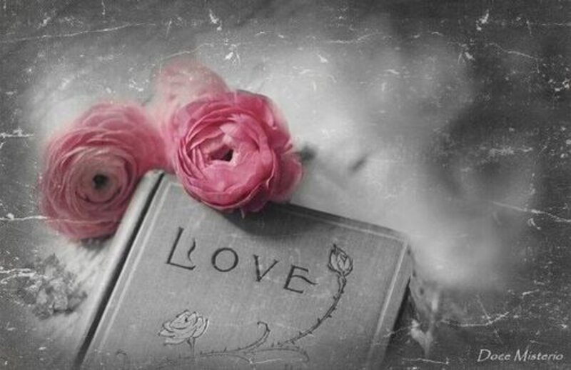 Book with Pink Flowers — Gray