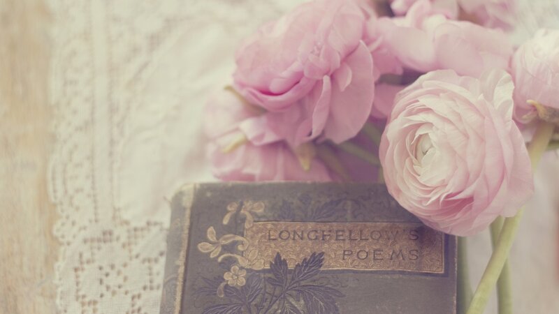 Book with Pink Flowers — Serene, Photograph