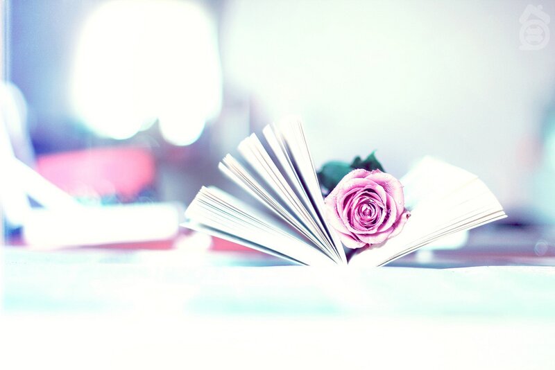 book with pink rose