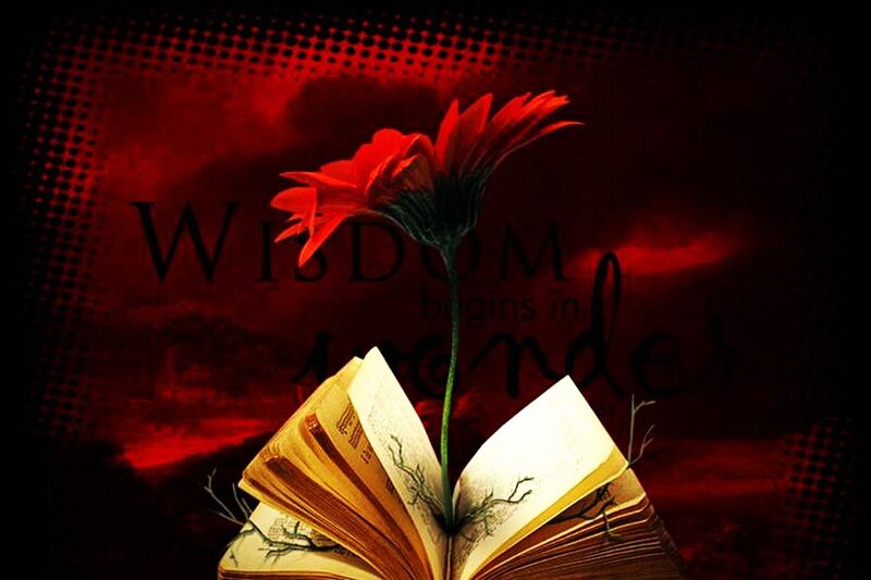 Book with Red Flower
