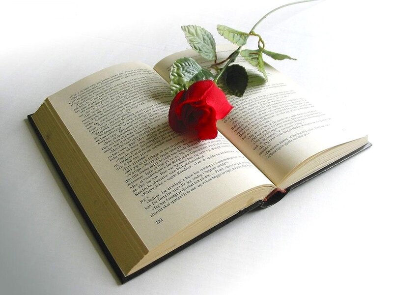 book with red rose
