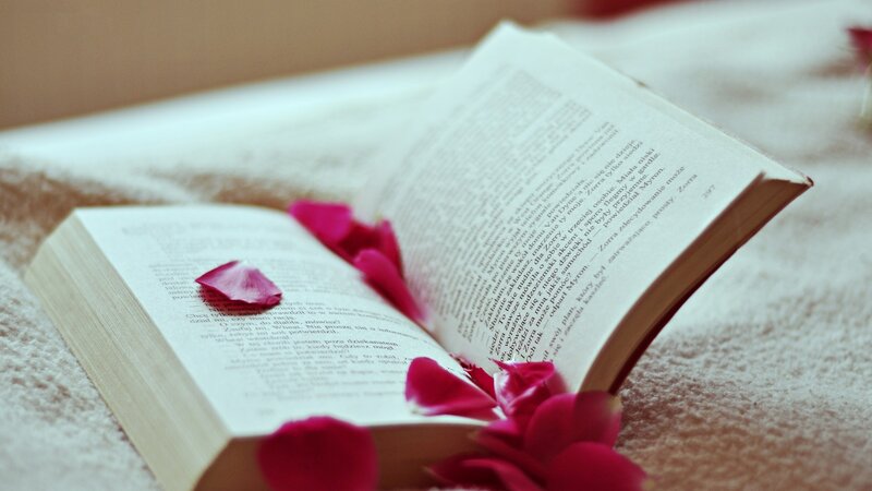 book with rose petals