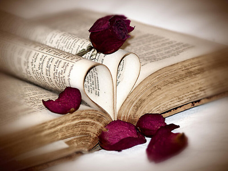Book with Rose Petals — White