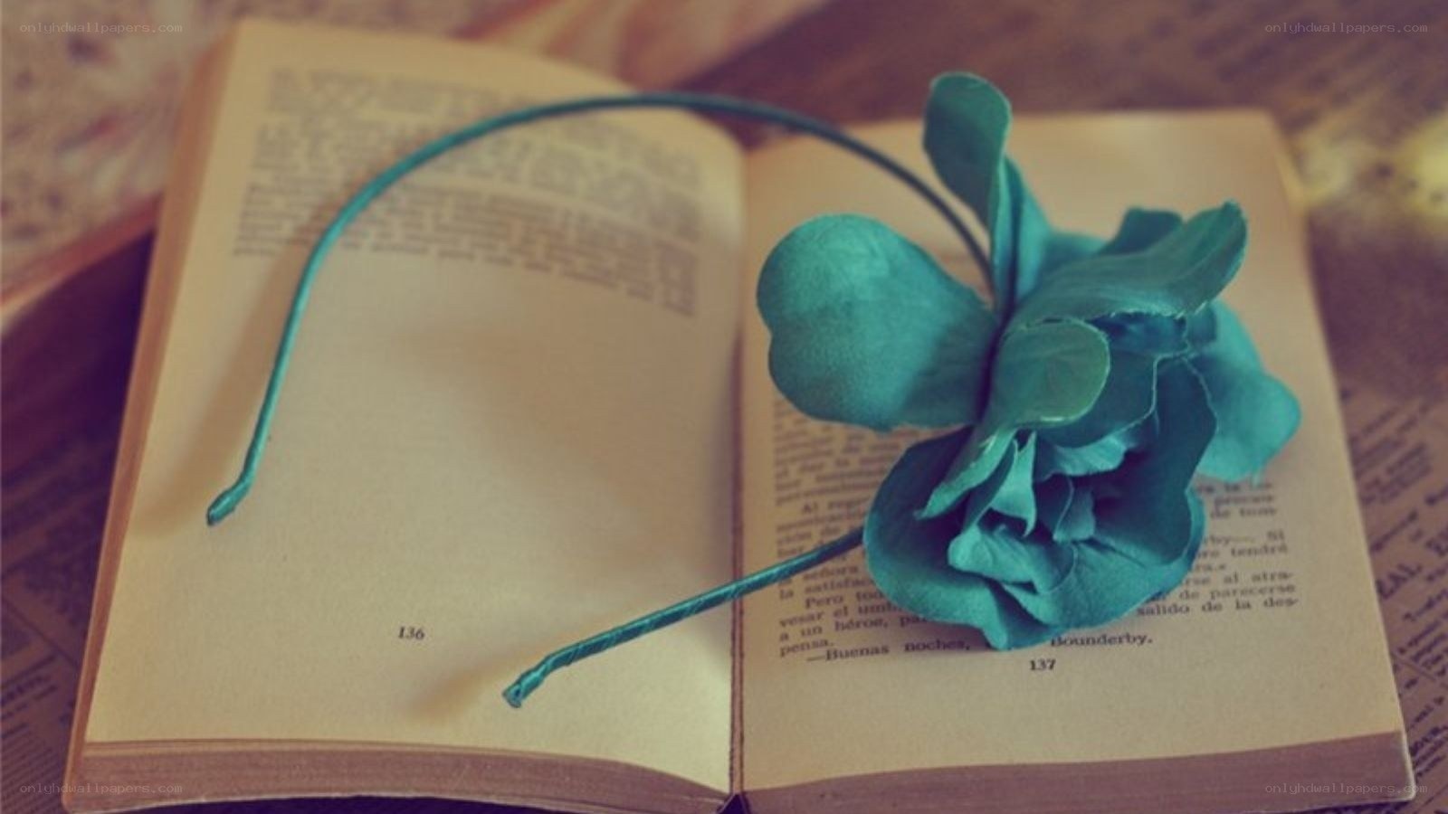 book with teal flower headband