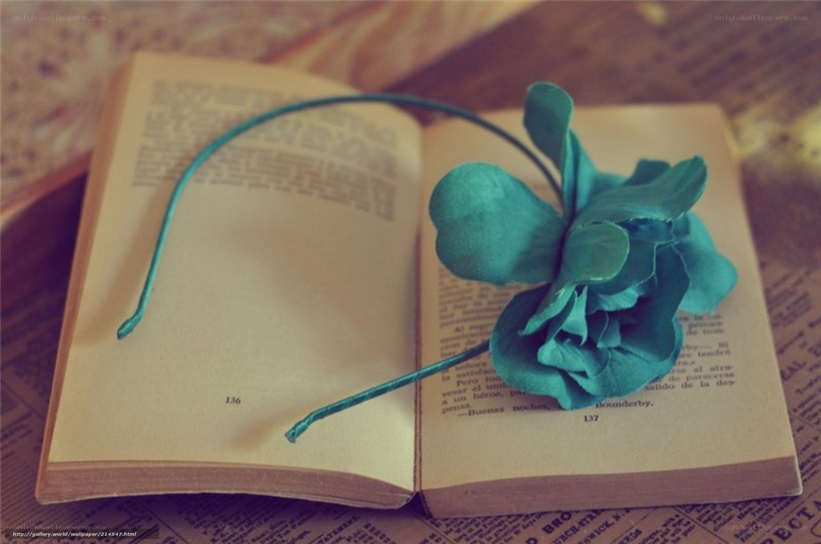 book with teal flower headband
