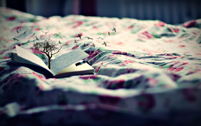 Book with Tree and Birds — White