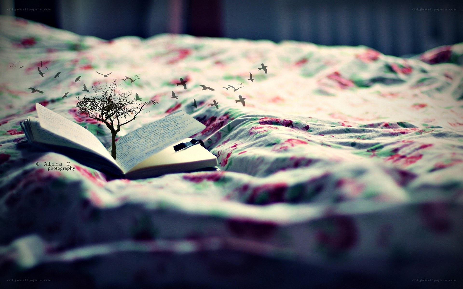 book with tree and birds