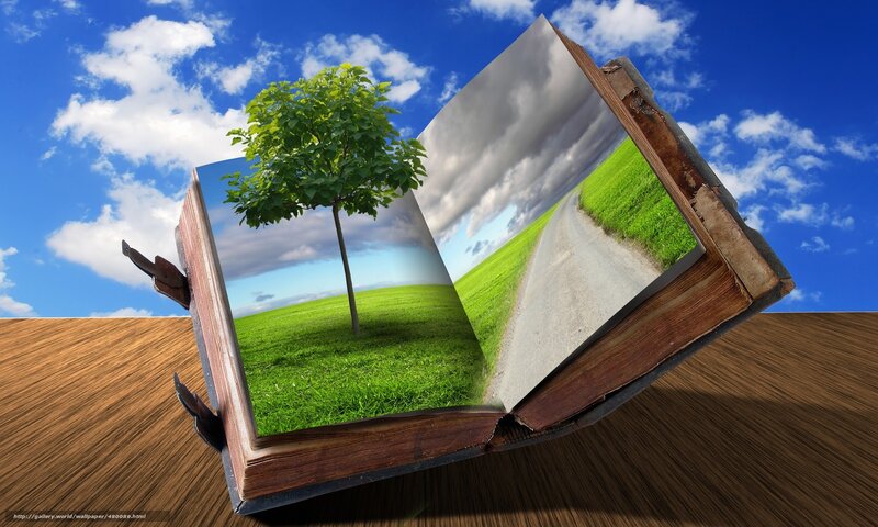Book with Tree and Road — Green, Serene, Afternoon