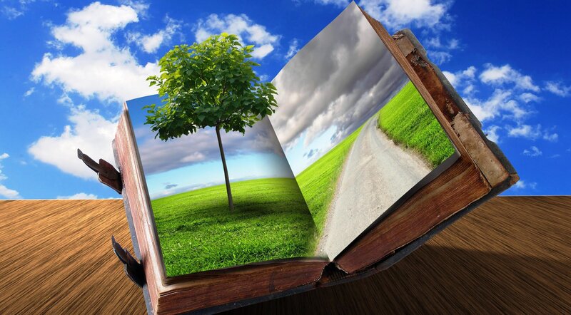 Book with Tree and Road — Green, Serene