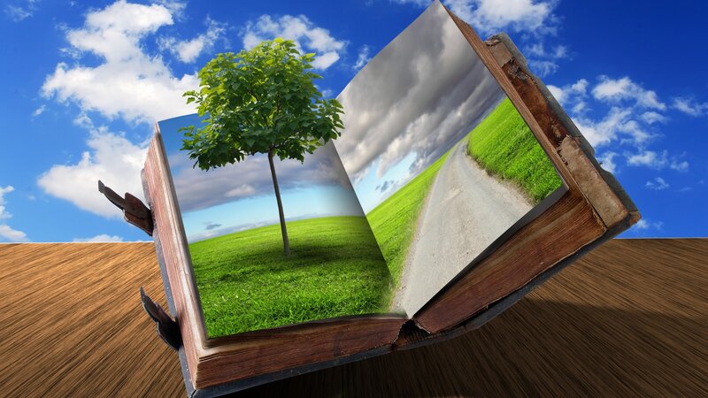 Book with Tree and Road — Green