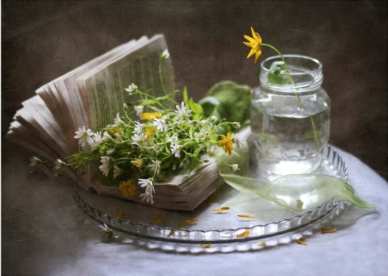 Book with Wildflowers