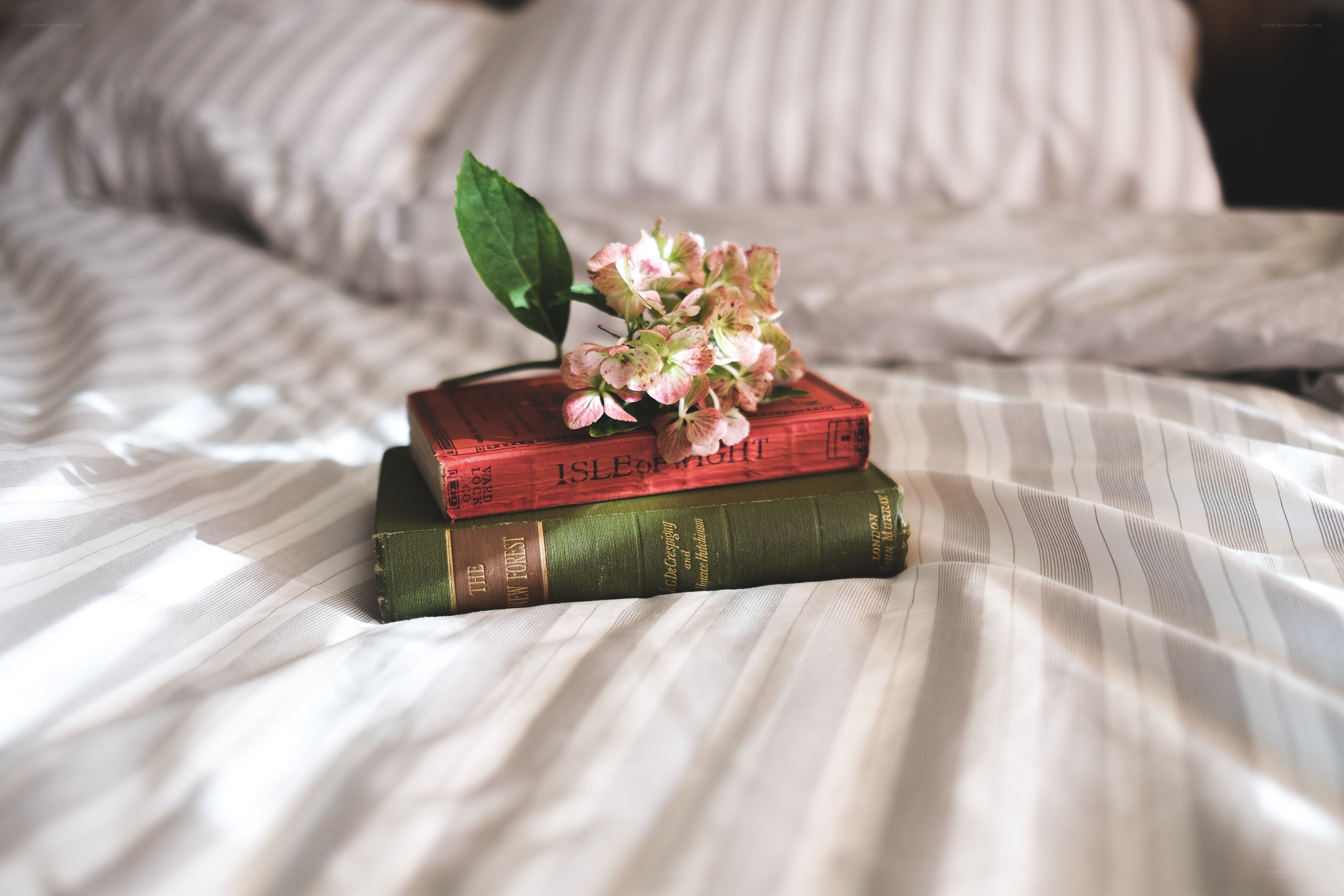 Books and flowers on a bed
