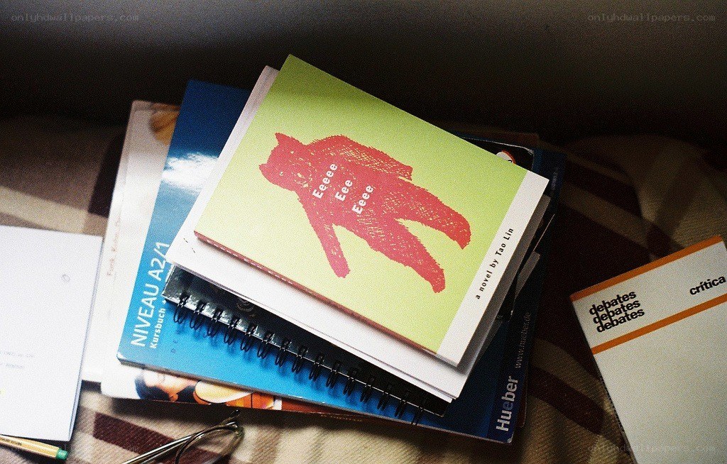 Books and notebooks on a blanket