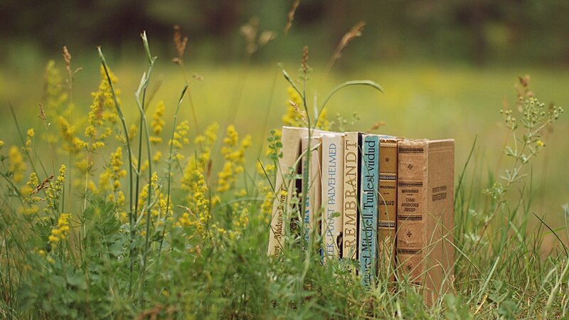 Books in a Field — Green, Serene