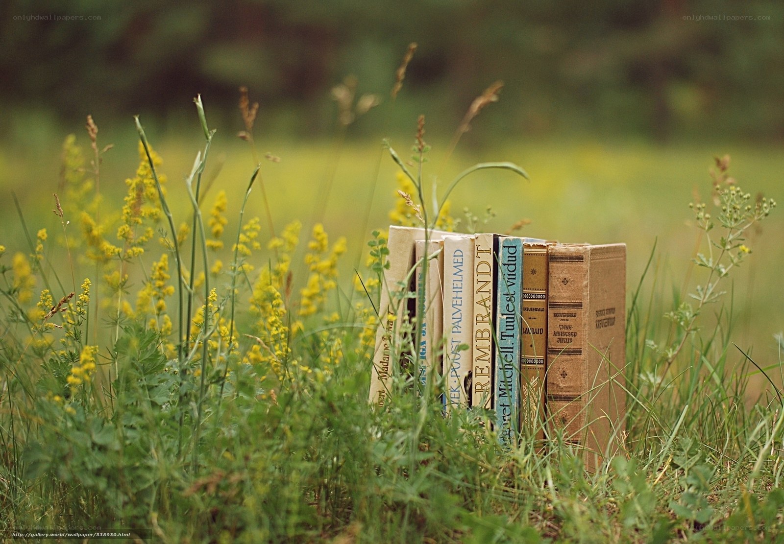 Books in a field of flowers