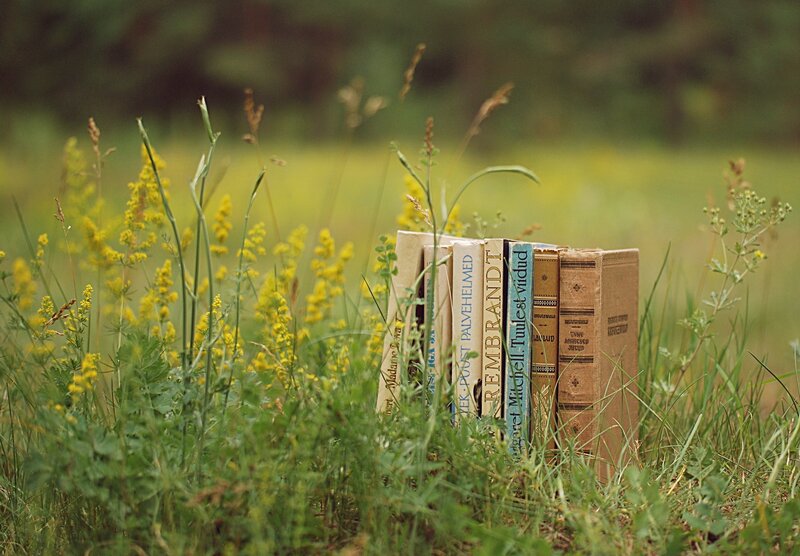Books in a field of flowers