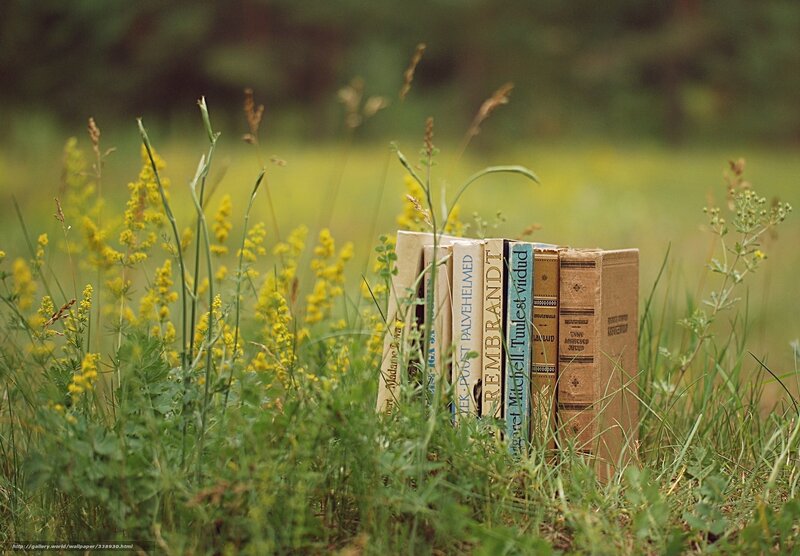 Books in Grass