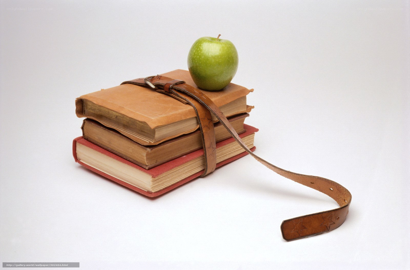 books with apple and belt